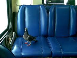 your seat on the bus